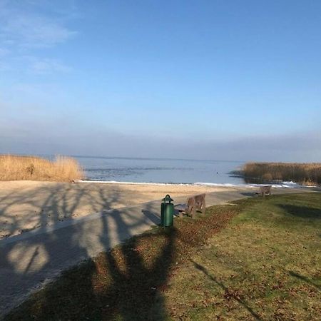 Ferien-Bungalow Im Seebad Ueckermuendeot Bellin Exteriör bild